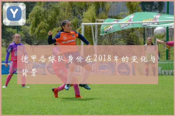 德甲各球队身价在2018年的变化与背景