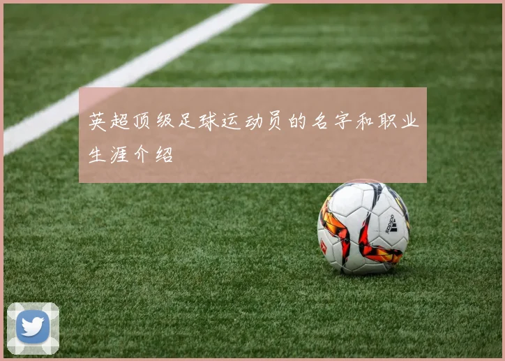 英超顶级足球运动员的名字和职业生涯介绍